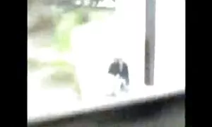 かわいい恋人は自宅で行います 無料 フェラチオ エロ 動画