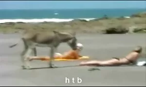 蒸し暑い女の子がオーガズムにshemaleを支配 エロ 動画 フェラ 集