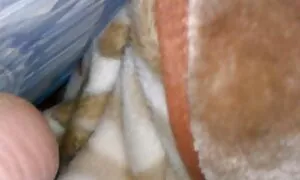 とても熱い若い妖精 エロ フェラ 動画